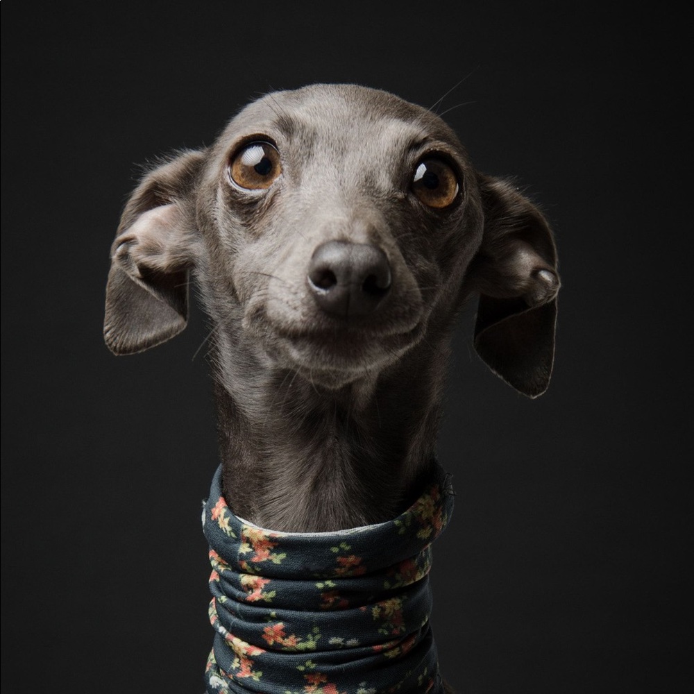 Meet your Posher, Setare